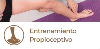 Entrenamiento propioceptivo