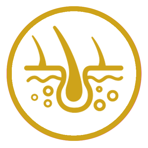 Jornada Gratuita de Formación en Fisioterapia Dermatofuncional