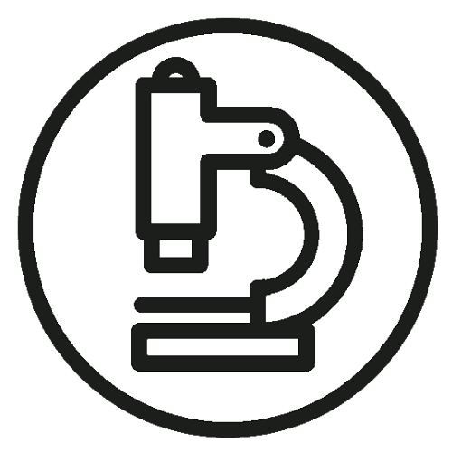 Jornada de Neurociencia 2021